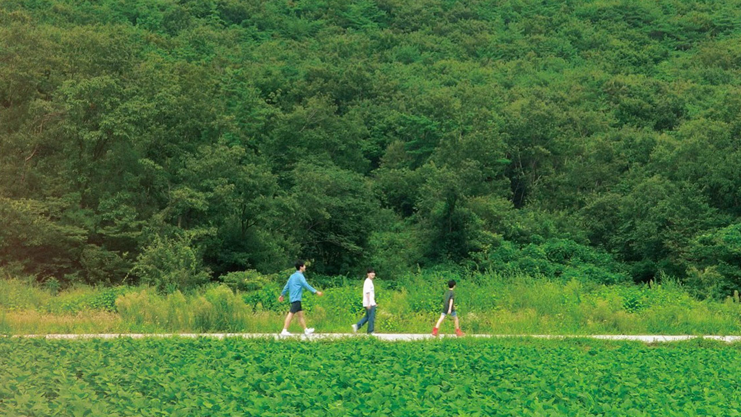 Chuông gió - Ảnh 2