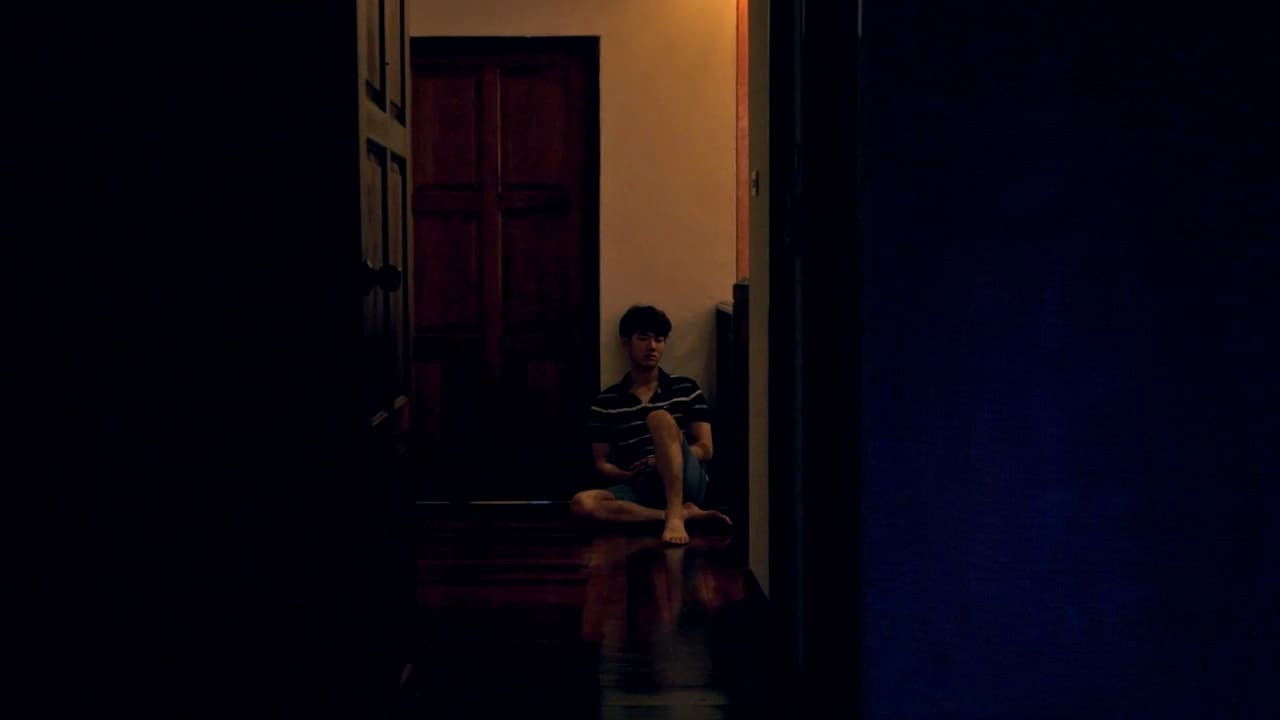 Đêm nhiệt đới - Ảnh 2