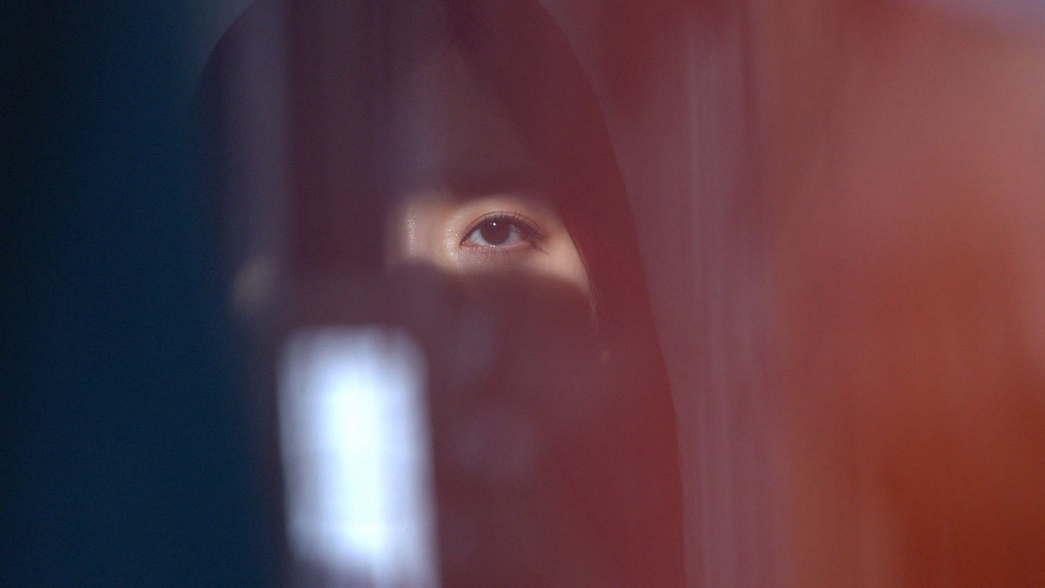 Oán Hồn Trong Vali - Ảnh 2