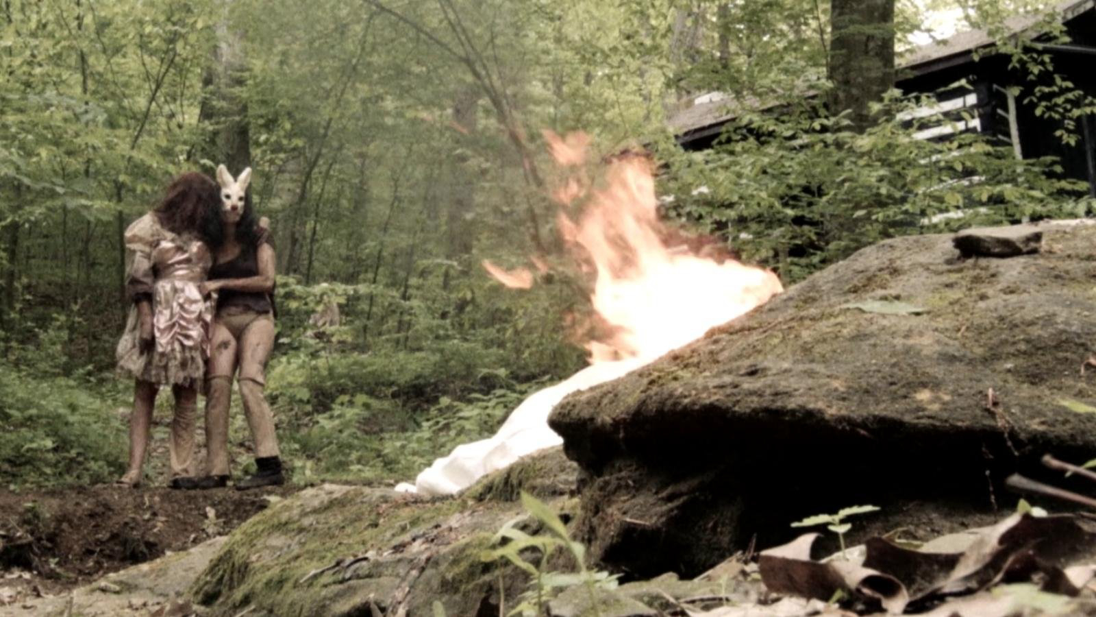 Plank Face - Ảnh 2